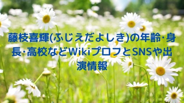 藤枝喜輝(ふじえだよしき)の年齢・身長・高校などWikiプロフとSNSや出演情報