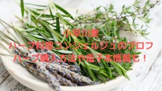 小早川愛ハーブ料理コンシェルジュ