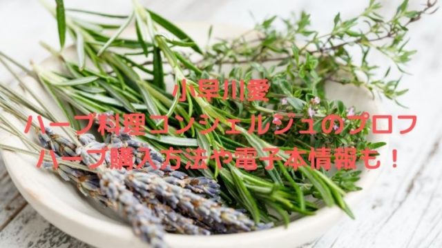 小早川愛ハーブ料理コンシェルジュ