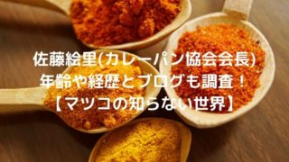 佐藤絵里(カレーパン協会会長) 年齢や経歴とブログも調査！ 【マツコの知らない世界】