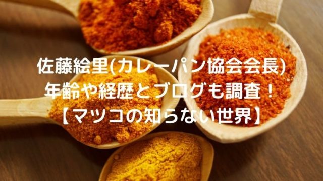 佐藤絵里(カレーパン協会会長) 年齢や経歴とブログも調査！ 【マツコの知らない世界】