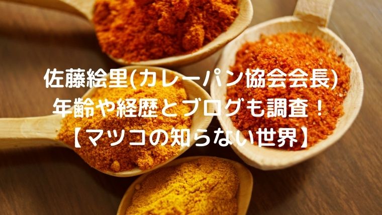 佐藤絵里(カレーパン協会会長) 年齢や経歴とブログも調査！ 【マツコの知らない世界】