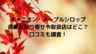 ギャニオン・メープルシロップ通販お取り寄せや取扱店はどこ？口コミも調査！