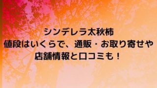 シンデレラ太秋柿の値段はいくら？通販・お取り寄せや店舗情報と口コミも！