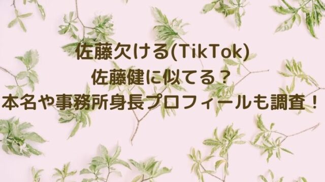 佐藤欠ける(TikTok)は佐藤健に似てる？本名や事務所身長プロフィールも調査！