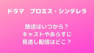 プロミスシンデレラ(ドラマ)はいつから？キャストやあらすじと見逃し配信はどこ？